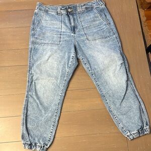 Torrid Blue Denim Jogger Jeans